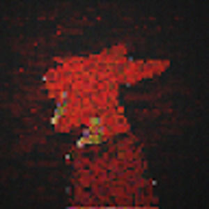 Meet your Posher, Rxo